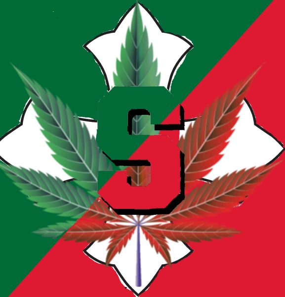Saints Stoned: Marijuana Use In Teens